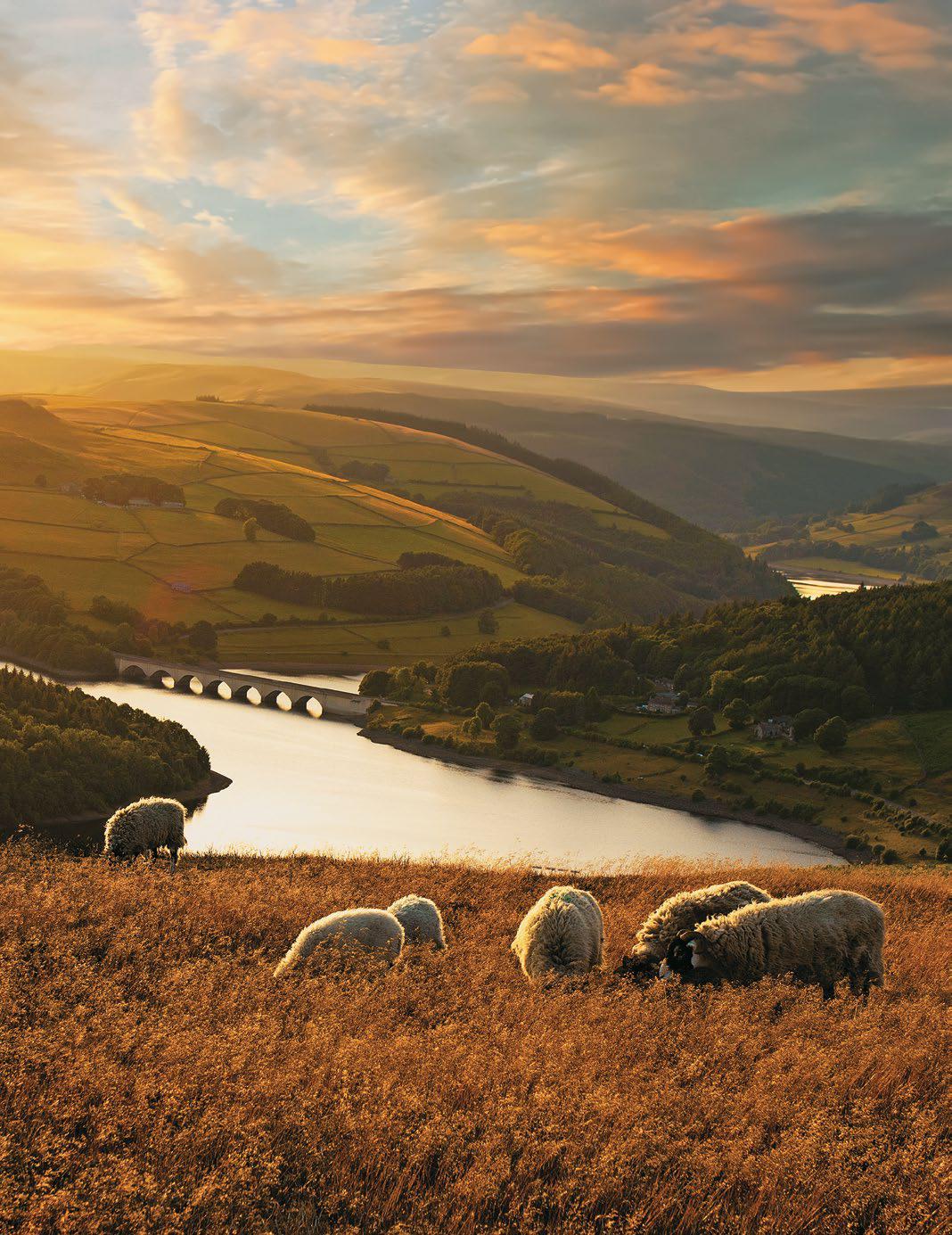 Life At The Edge Of The UK's First National Park
